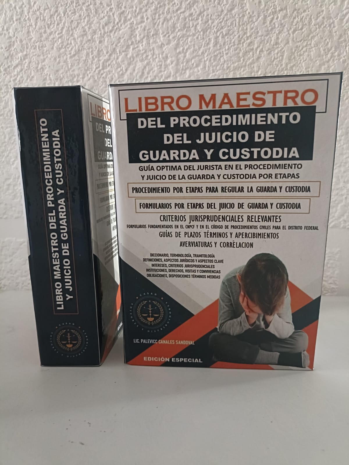 libro maestro del procedimiento de guarda y custodia