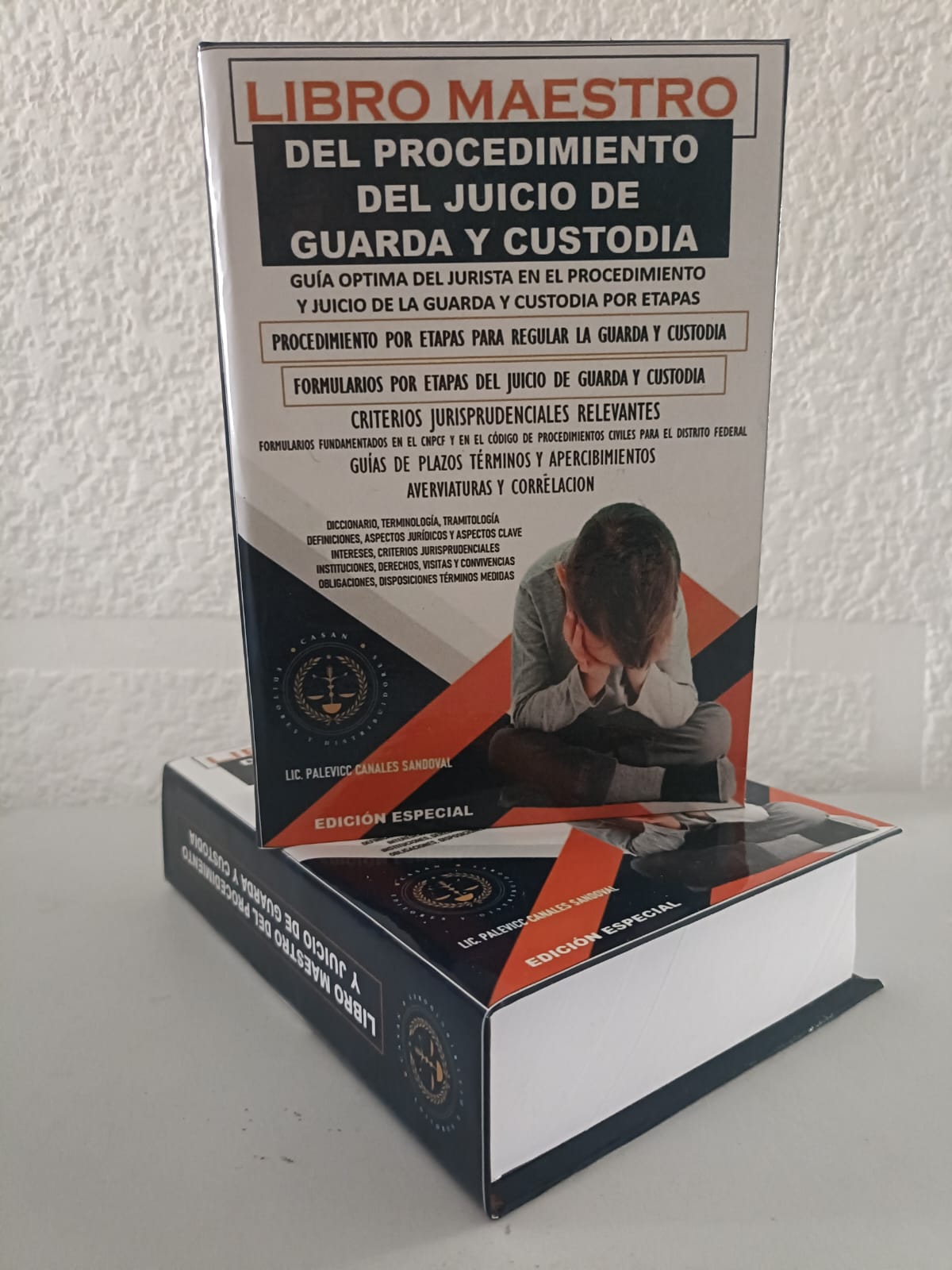 libro maestro del procedimiento de guarda y custodia