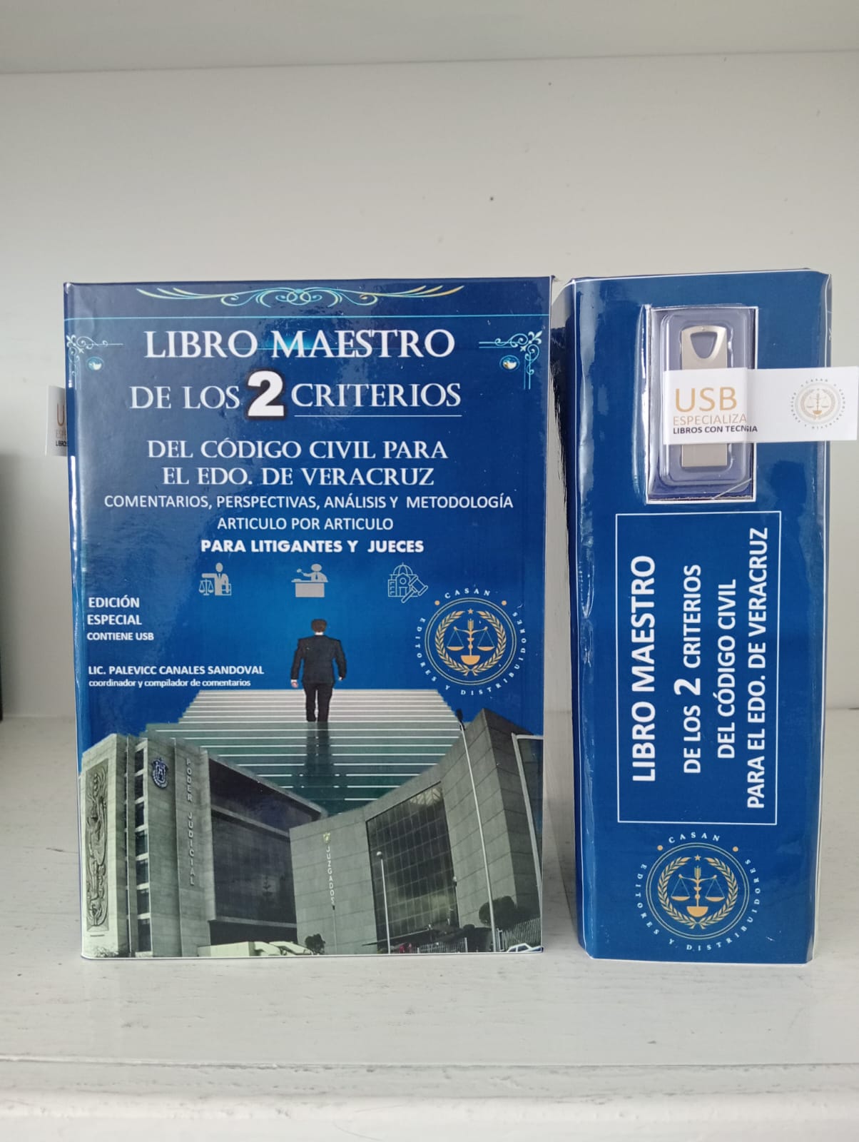 libro maestro de los dos criterios del código civil de Veracruz