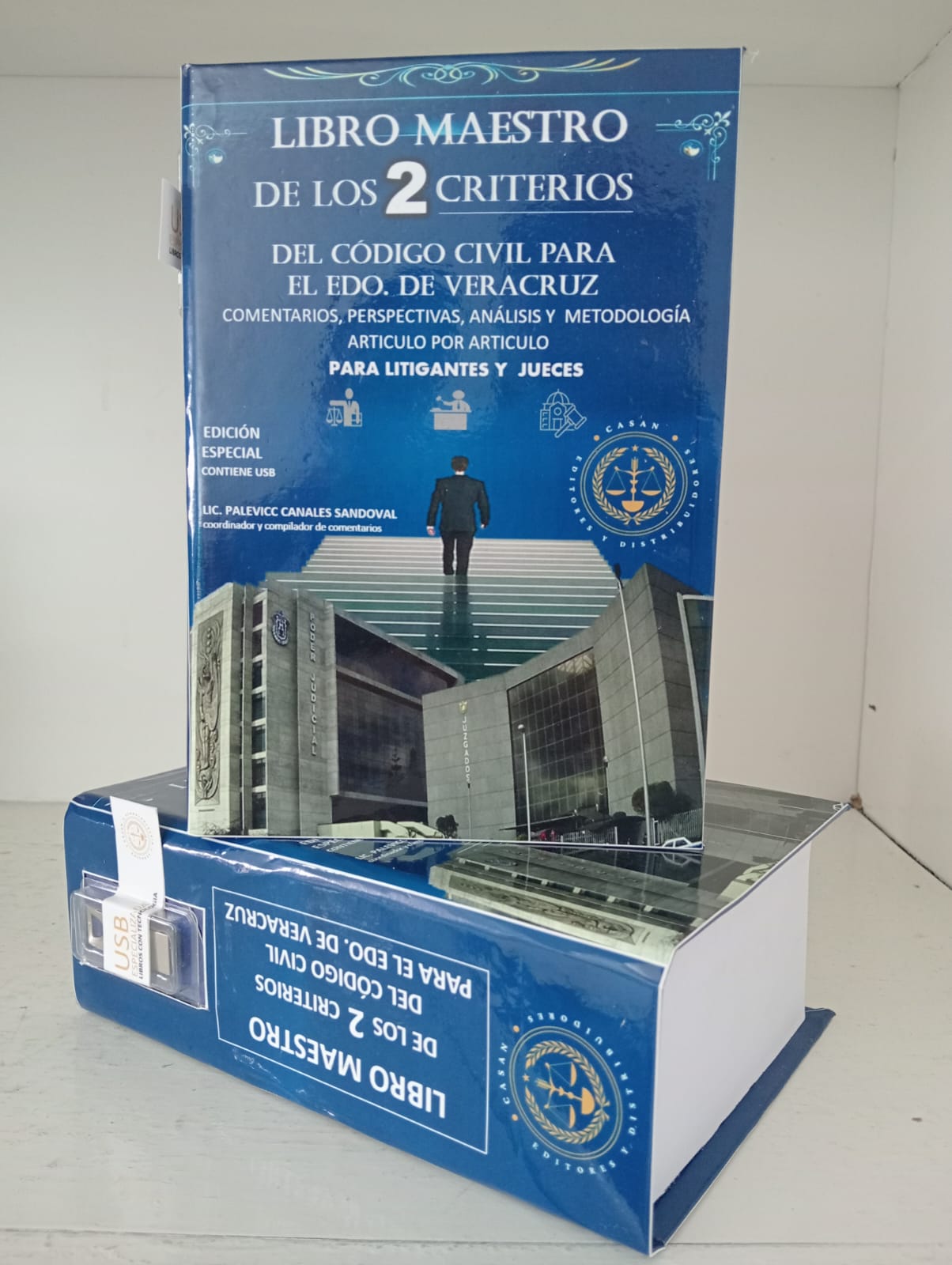 libro maestro de los dos criterios del código civil de Veracruz