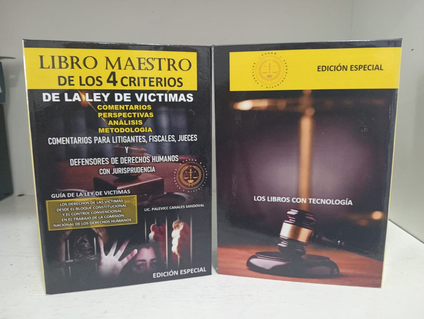 libro maestro de los 4 criterios de la ley de victimas