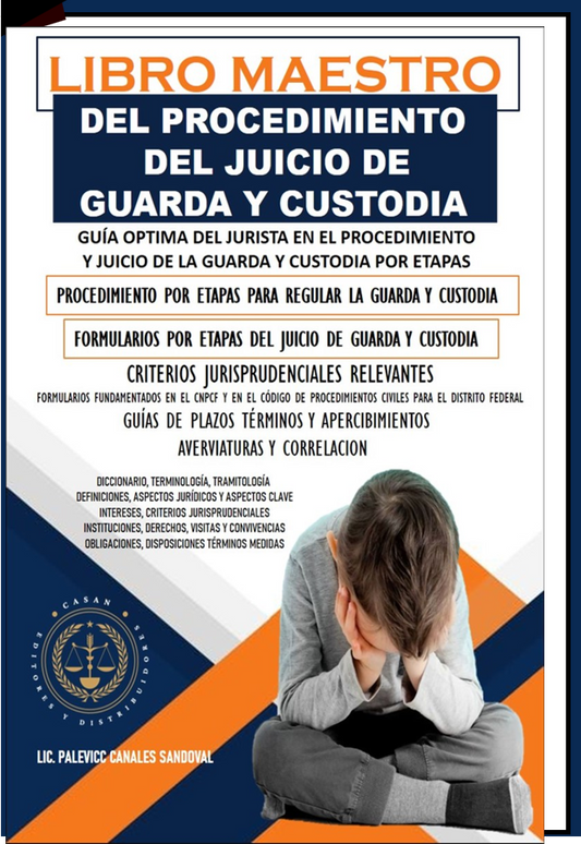 libro maestro del procedimiento de guarda y custodia