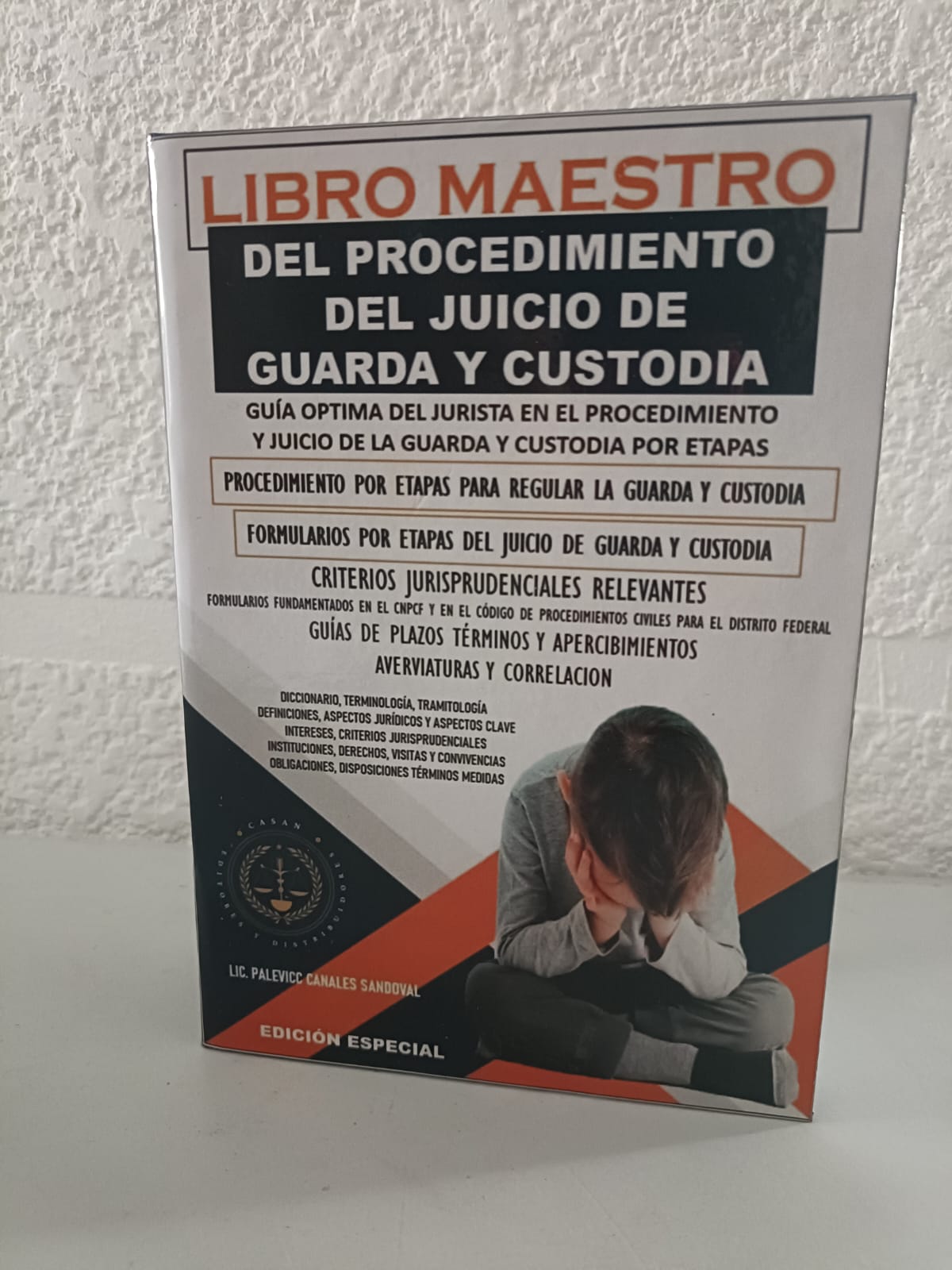 libro maestro del procedimiento de guarda y custodia